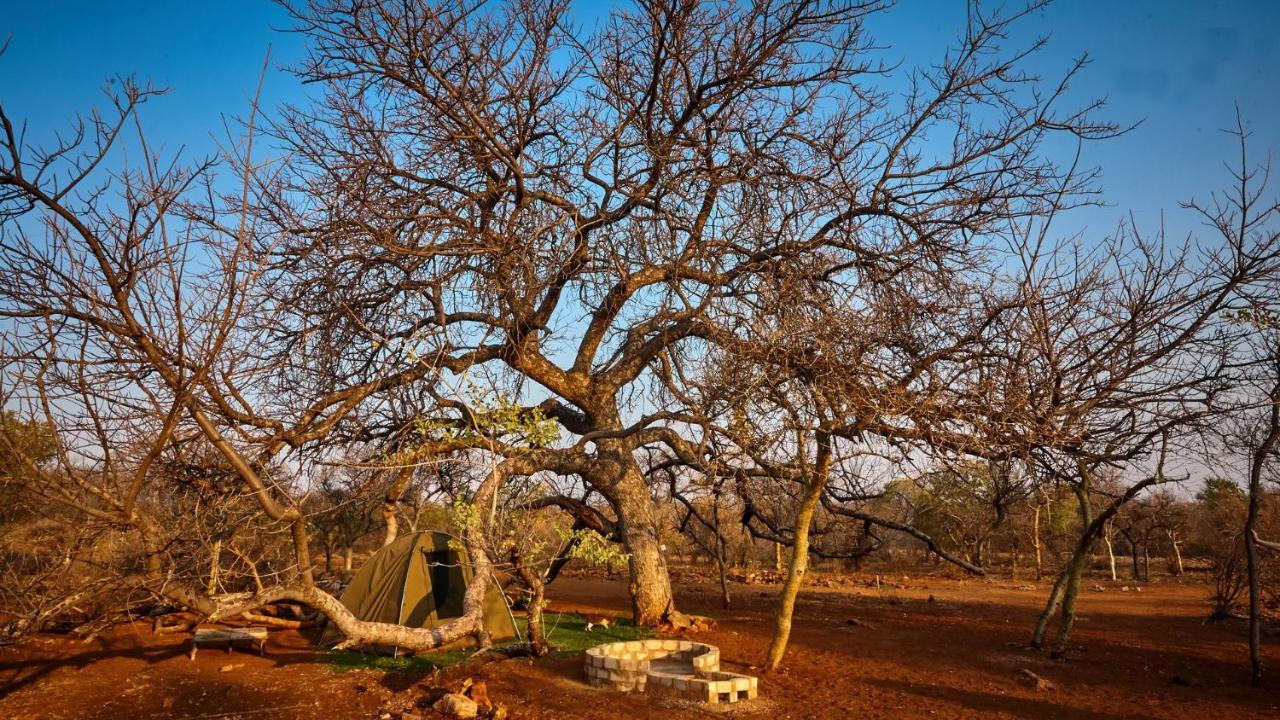 Zuricamp - Campsite Halishi ツメブ エクステリア 写真
